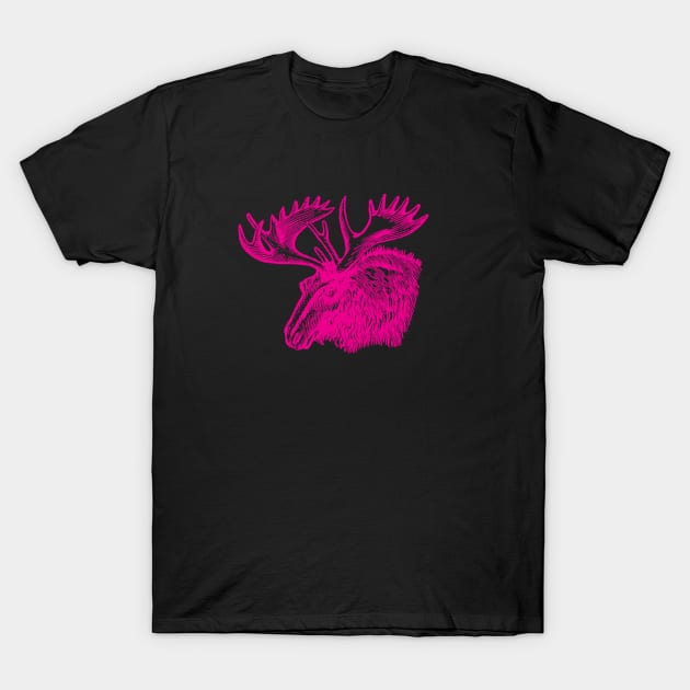 Pink Moose T-Shirt by DavidLoblaw